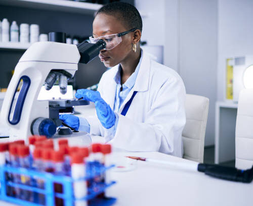 Laboratory Analysis