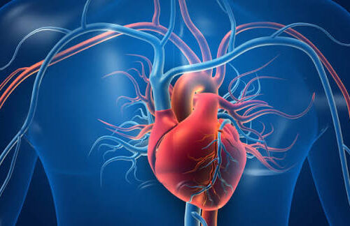 Cardiac Clinic
